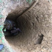 Load image into Gallery viewer, The Mission