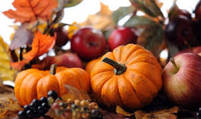Fall Update